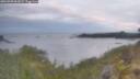 ./images/calvert/foggy-cove/20260509/foggy-cove20260509_061001M.jpg