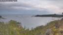 ./images/calvert/foggy-cove/20260509/foggy-cove20260509_061501M.jpg
