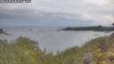 ./images/calvert/foggy-cove/20260509/foggy-cove20260509_062001M.jpg