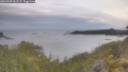 ./images/calvert/foggy-cove/20260509/foggy-cove20260509_062501M.jpg