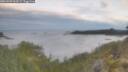 ./images/calvert/foggy-cove/20260509/foggy-cove20260509_063501M.jpg