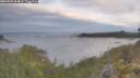 ./images/calvert/foggy-cove/20260509/foggy-cove20260509_064002M.jpg
