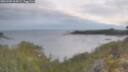 ./images/calvert/foggy-cove/20260509/foggy-cove20260509_064501M.jpg