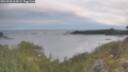./images/calvert/foggy-cove/20260509/foggy-cove20260509_065001M.jpg