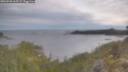 ./images/calvert/foggy-cove/20260509/foggy-cove20260509_065502M.jpg