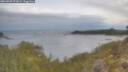 ./images/calvert/foggy-cove/20260509/foggy-cove20260509_071001M.jpg