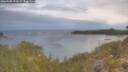 ./images/calvert/foggy-cove/20260509/foggy-cove20260509_072001M.jpg
