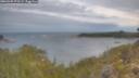 ./images/calvert/foggy-cove/20260509/foggy-cove20260509_072501M.jpg