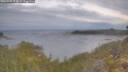 ./images/calvert/foggy-cove/20260509/foggy-cove20260509_073001M.jpg