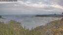 ./images/calvert/foggy-cove/20260509/foggy-cove20260509_073501M.jpg