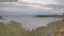 ./images/calvert/foggy-cove/20260509/foggy-cove20260509_074001M.jpg