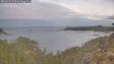 ./images/calvert/foggy-cove/20260509/foggy-cove20260509_075002M.jpg