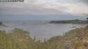 ./images/calvert/foggy-cove/20260509/foggy-cove20260509_075501M.jpg