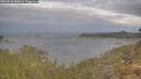 ./images/calvert/foggy-cove/20260509/foggy-cove20260509_080001M.jpg