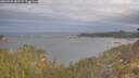 ./images/calvert/foggy-cove/20260509/foggy-cove20260509_081501M.jpg