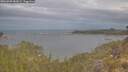 ./images/calvert/foggy-cove/20260509/foggy-cove20260509_082002M.jpg