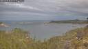 ./images/calvert/foggy-cove/20260509/foggy-cove20260509_082501M.jpg