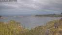 ./images/calvert/foggy-cove/20260509/foggy-cove20260509_083002M.jpg