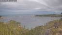 ./images/calvert/foggy-cove/20260509/foggy-cove20260509_084001M.jpg