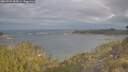 ./images/calvert/foggy-cove/20260509/foggy-cove20260509_084501M.jpg