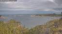 ./images/calvert/foggy-cove/20260509/foggy-cove20260509_085001M.jpg