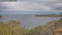 ./images/calvert/foggy-cove/20260509/foggy-cove20260509_085501M.jpg