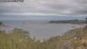 ./images/calvert/foggy-cove/20260509/foggy-cove20260509_090001M.jpg