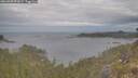 ./images/calvert/foggy-cove/20260509/foggy-cove20260509_091001M.jpg