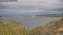 ./images/calvert/foggy-cove/20260509/foggy-cove20260509_091501M.jpg