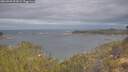 ./images/calvert/foggy-cove/20260509/foggy-cove20260509_092001M.jpg