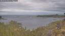 ./images/calvert/foggy-cove/20260509/foggy-cove20260509_092501M.jpg