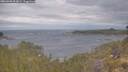 ./images/calvert/foggy-cove/20260509/foggy-cove20260509_093002M.jpg