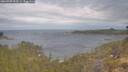 ./images/calvert/foggy-cove/20260509/foggy-cove20260509_093501M.jpg