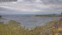 ./images/calvert/foggy-cove/20260509/foggy-cove20260509_094002M.jpg