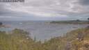 ./images/calvert/foggy-cove/20260509/foggy-cove20260509_094501M.jpg