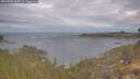 ./images/calvert/foggy-cove/20260509/foggy-cove20260509_095002M.jpg