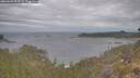 ./images/calvert/foggy-cove/20260509/foggy-cove20260509_095502M.jpg