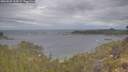 ./images/calvert/foggy-cove/20260509/foggy-cove20260509_100001M.jpg