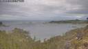./images/calvert/foggy-cove/20260509/foggy-cove20260509_100501M.jpg