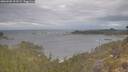 ./images/calvert/foggy-cove/20260509/foggy-cove20260509_101002M.jpg