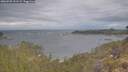 ./images/calvert/foggy-cove/20260509/foggy-cove20260509_101501M.jpg