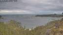 ./images/calvert/foggy-cove/20260509/foggy-cove20260509_102001M.jpg
