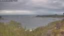 ./images/calvert/foggy-cove/20260509/foggy-cove20260509_102501M.jpg