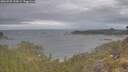 ./images/calvert/foggy-cove/20260509/foggy-cove20260509_103001M.jpg