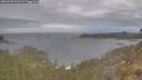 ./images/calvert/foggy-cove/20260509/foggy-cove20260509_103501M.jpg