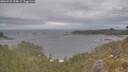 ./images/calvert/foggy-cove/20260509/foggy-cove20260509_104001M.jpg