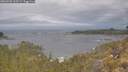 ./images/calvert/foggy-cove/20260509/foggy-cove20260509_105501M.jpg