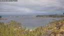./images/calvert/foggy-cove/20260509/foggy-cove20260509_110002M.jpg