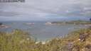 ./images/calvert/foggy-cove/20260509/foggy-cove20260509_110501M.jpg