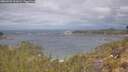 ./images/calvert/foggy-cove/20260509/foggy-cove20260509_111001M.jpg
